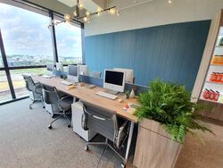 woods-square photo thumbnail #5